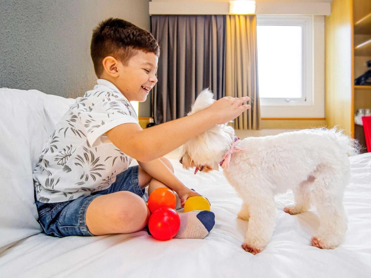 ホテル Ibis Criciuma クリシウマ エクステリア 写真